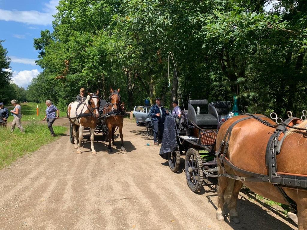 B&B Crijbohoeve Zutendaal Zewnętrze zdjęcie