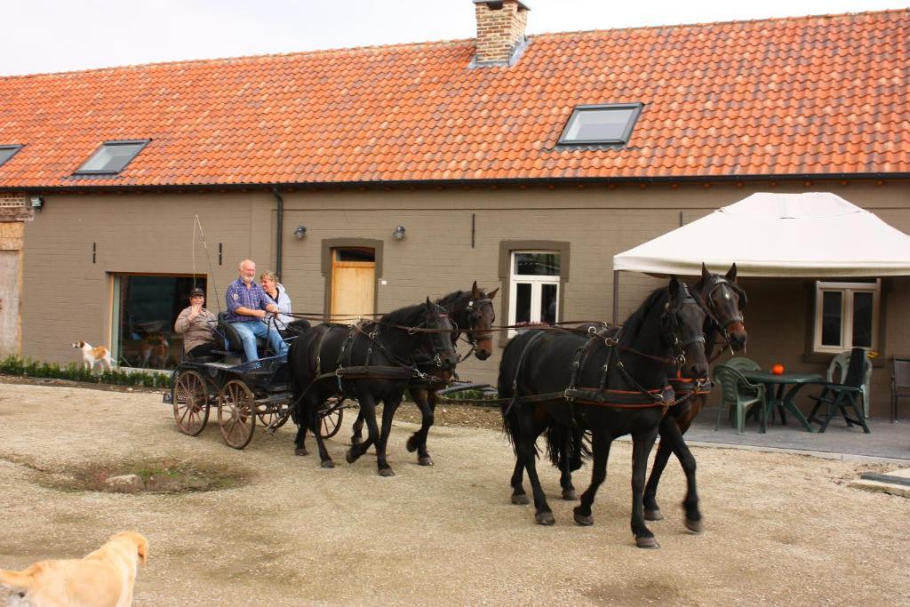 B&B Crijbohoeve Zutendaal Zewnętrze zdjęcie